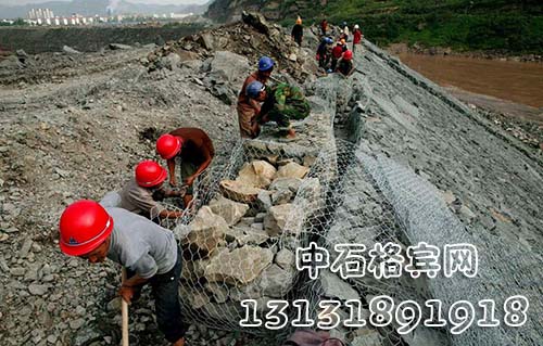 zsshilong98.jpg zsshilong98.jpg