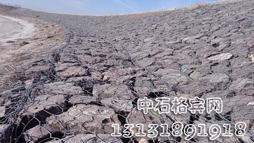 zsshilong102.jpg zsshilong102.jpg