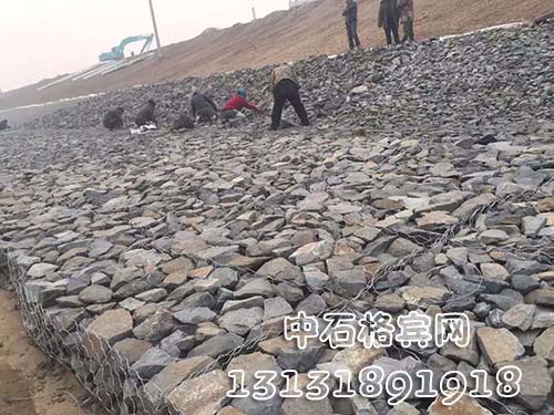 zsshilong108.jpg zsshilong108.jpg