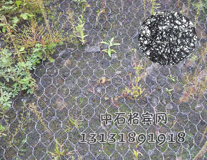 防洪加筋麥克墊價(jià)格13131891918